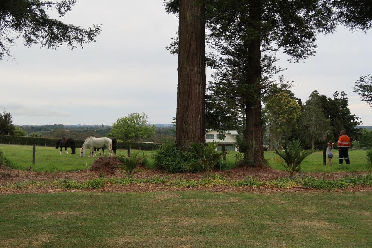Cosy Nights - Modern, Self-Contained With Parking Apartment Kerikeri Exterior photo